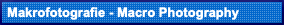  Makrofotografie - Macro Photography